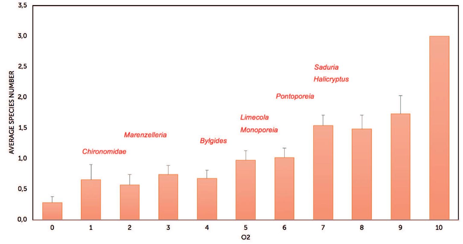 (PDF) Zoobenthos as indicators of marine habitats in the northern ...