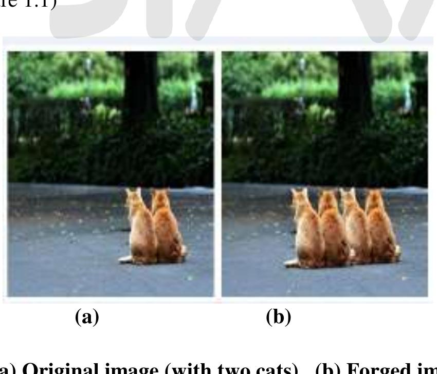 (PDF) Comparative Study and Survey on Copy Move Image Forgery Detection ...