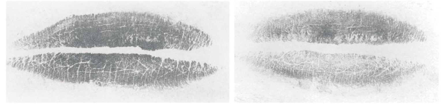 (PDF) Personal identity verification method based on lips photographs