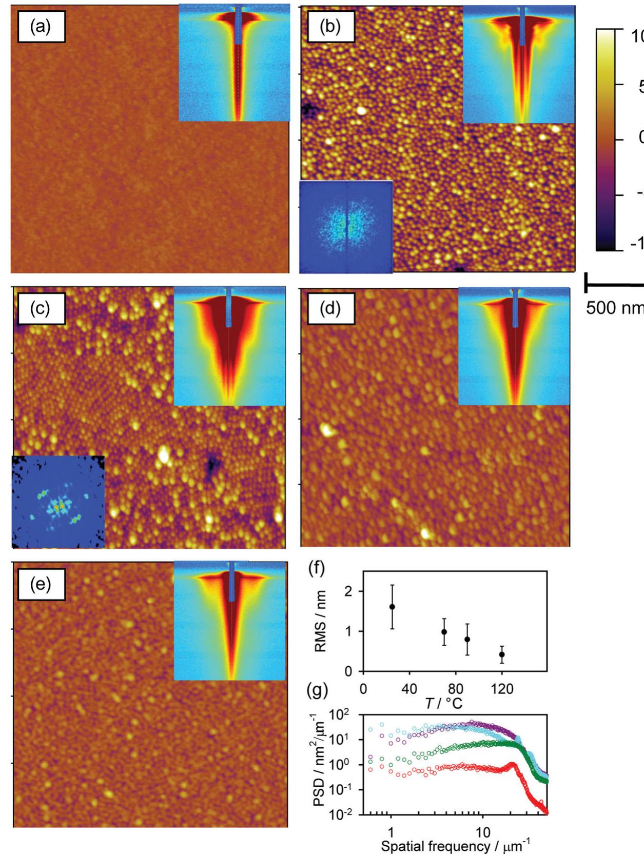 A—e) afm images showing the topology of a negatively charge
