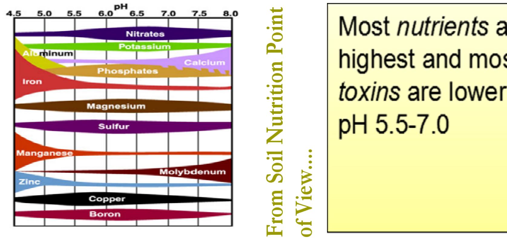 (PDF) Review on the Extent of Acid Soil in Ethiopia, Its Impact and ...