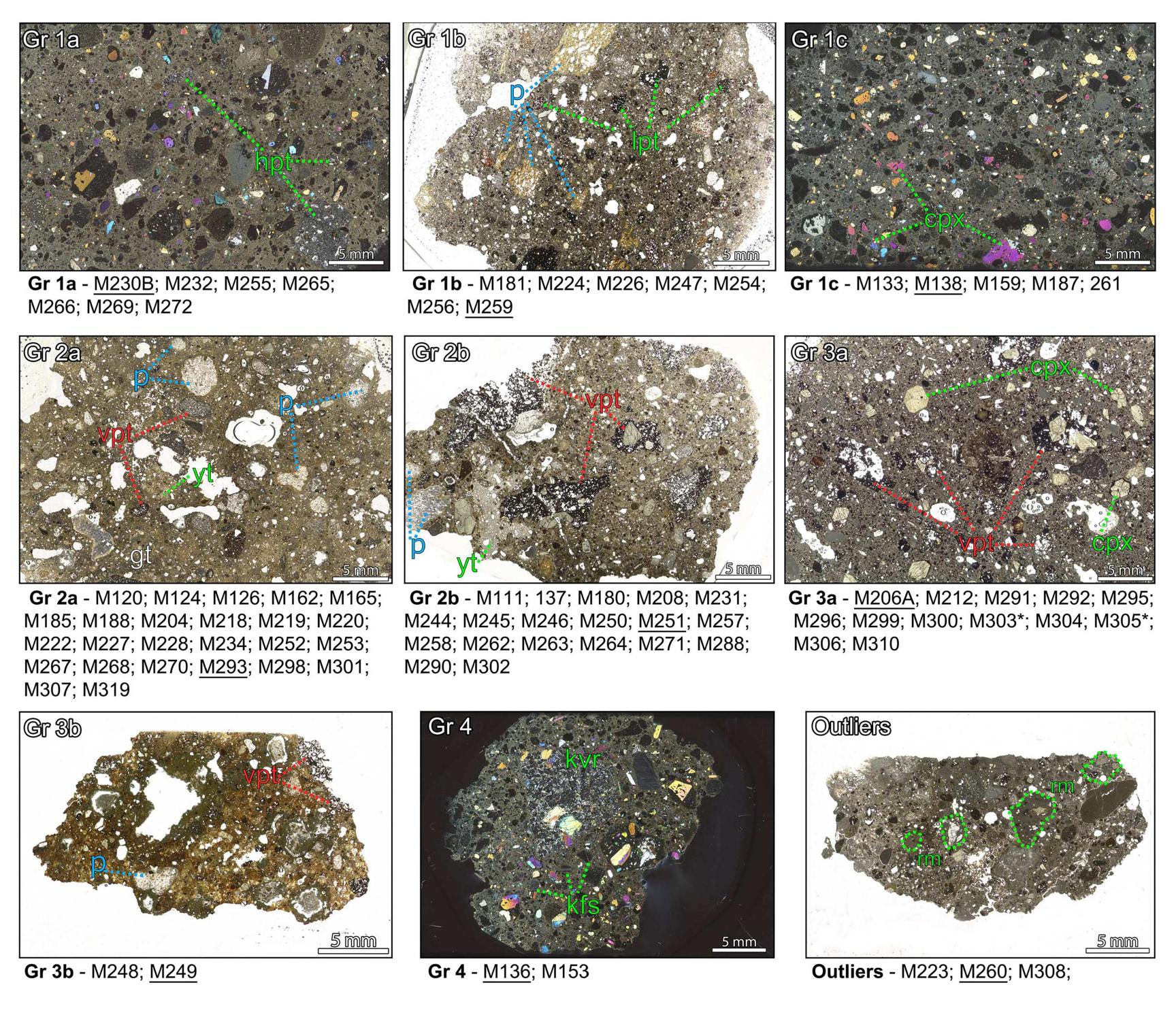 _ optical microscope working on transmitted light (tl-om)