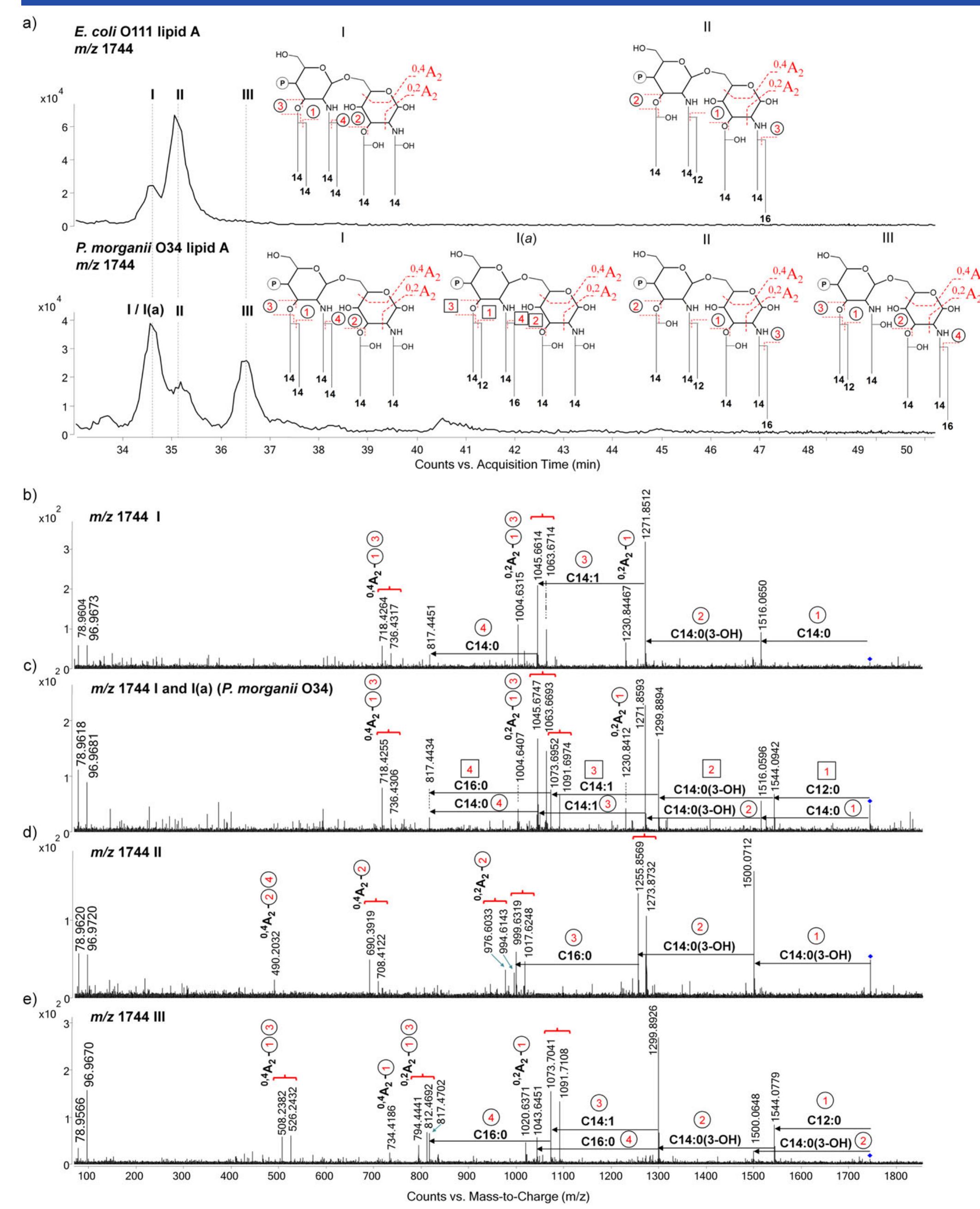 Hplc-ms extracted ion chromatograms and structures of the