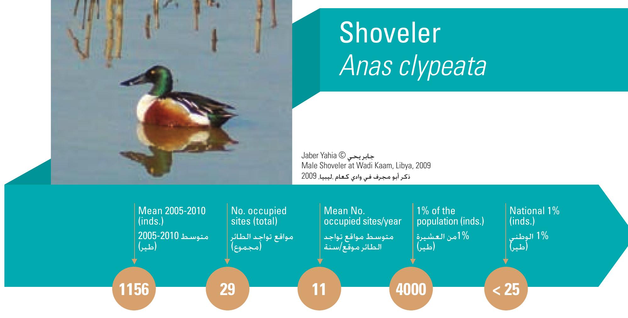 Khám Phá Thế Giới Đặc Biệt Của Mig8 Boo - Trải Nghiệm Sự Khác Biệt Mới Lạ Mà Bạn Chưa Từng Thấy