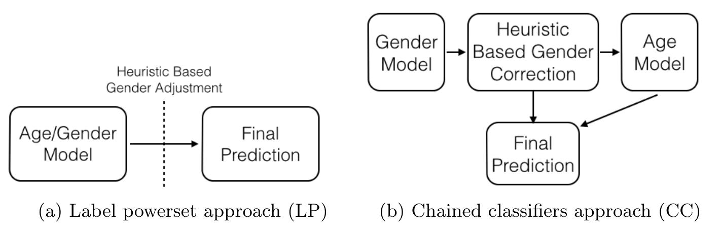 Two approaches to the multi-label classification problem of