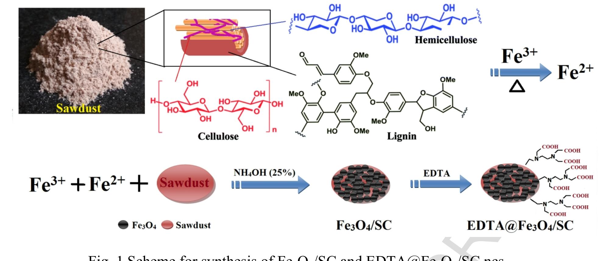 Figure 2 - from Green synthesis of Fe3O4 nanoparticles