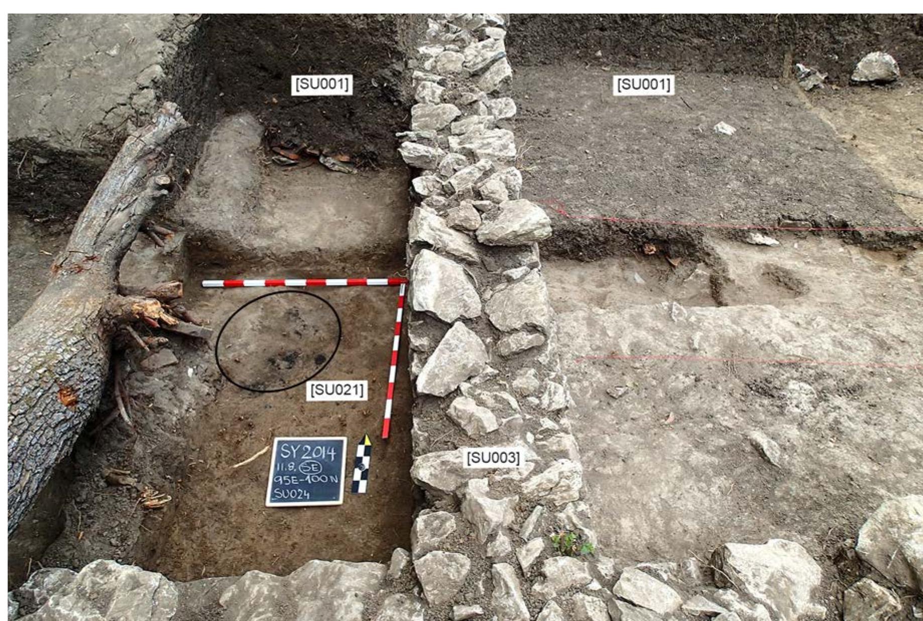 Fig. 3: Division of Room B and C with the RT soil [SUoo1] covering the remaining contexts dug under the inner floor of the house. On the left of the wall [SUo03], in Room B, we may see the surface of [SUo21] originally covered by a branch of a tree. In the same room, the reverse stratigraphy may  be noticed, with roof tiles and other heavy objects placed on the bottom of the RT soil [SUoo1]. 