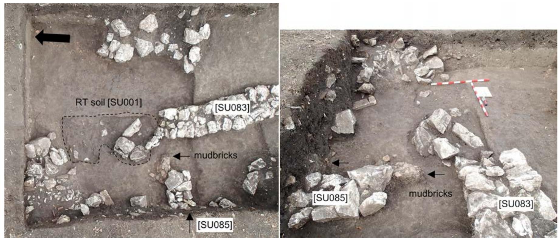 Fig. 10: Detail of the situation at the northern end of the wall [SUo083]. The RT trench interrupted the continuation of the wall [SU083], while 85 cm to the west of it, a smaller wall [SUo85] appeared. The mudbricks, likely originally placed on the wall, can still be seen on the north of the wall and at the western profile of the trench. Photo by P. Tuslova. 
