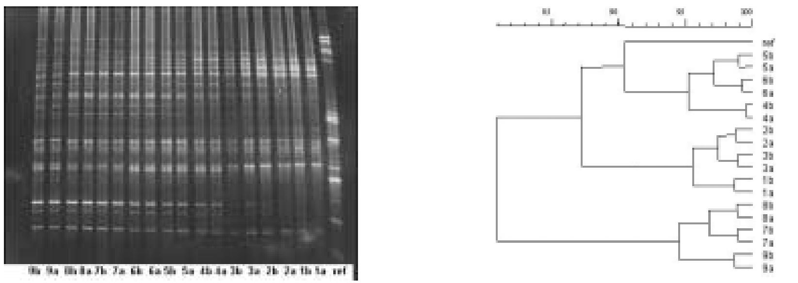 Figure 6 - from Linking floc structure and settling