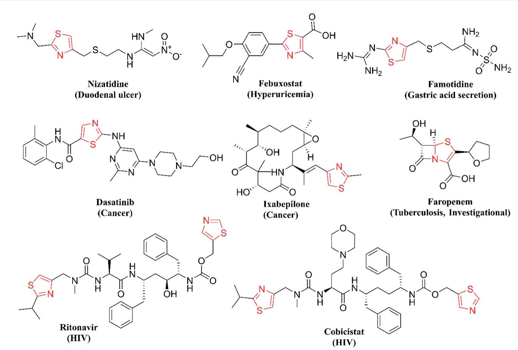Design of the lead structure for the present investigation.