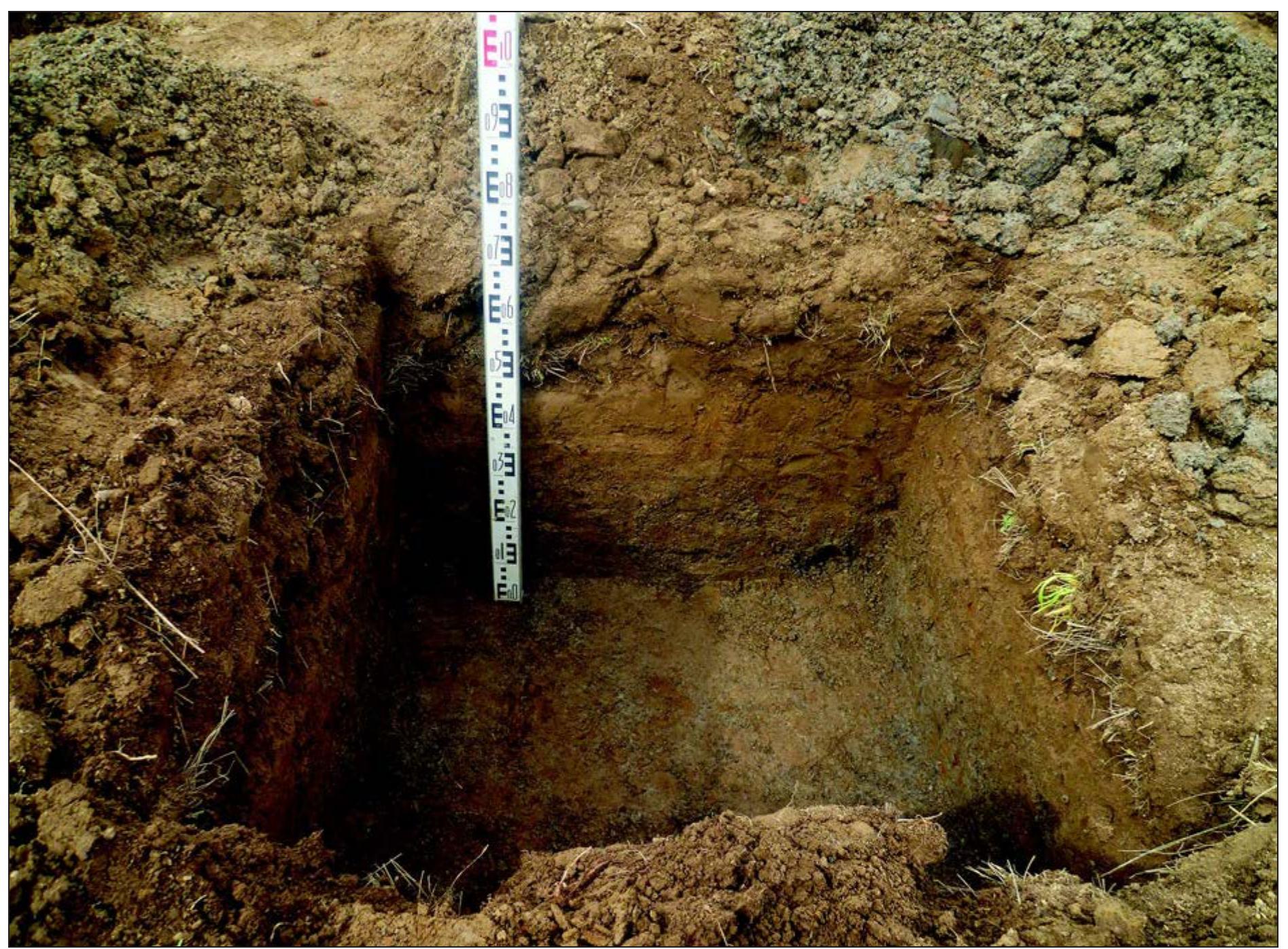 Fig. 8. Test Pit 1 (2011) outside the site on the hill-top, showing the typical loessic B horizon beneath a moderi ploughsoil (C. French) 