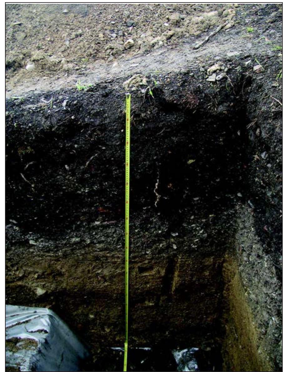 Fig. 11. Test Pit 4 (2013) on the ‘shoulder’ area showing the midden material over the layered occupation zones below (G. Marriner) 