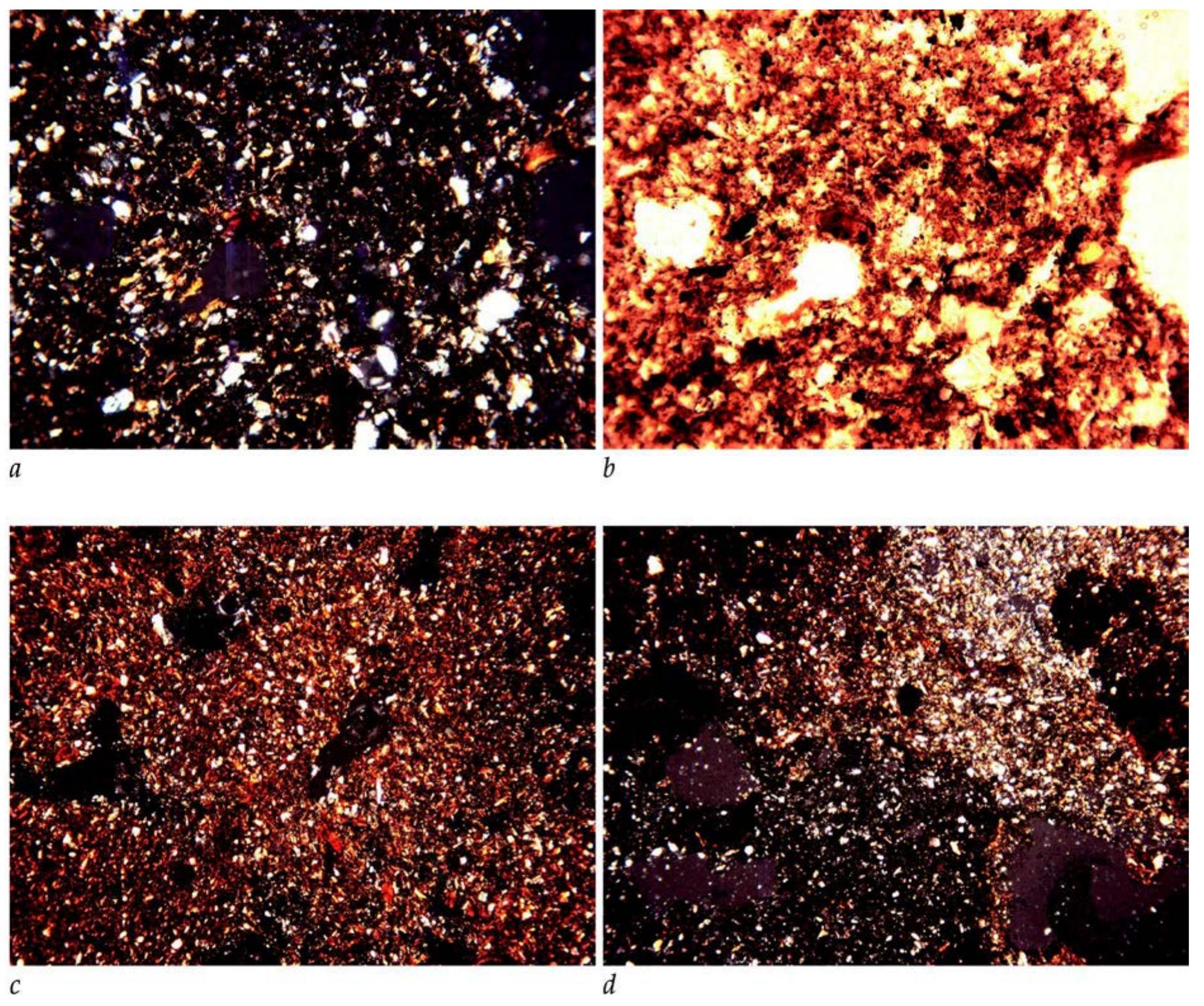 Fig. 14. Test Trench 1 soil photomicrographs (C. French/D. Redhouse):  a. Photomicrograph of the humic very fine sandy/silty clay loam with dusty clay infills and coatings, Sample 23 (frame width = 4.5mm; cross polarized light); b. Photomicrograph of the humic very fine sandy/silty clay loam with dusty clay infills and coatings, Sample 23 (frame width = 2.5mm; plane polarized light); c. Photomicrograph of the  pure and dusty clays throughout the matrix, Sample 22 (frame width = 4.5mm; cross polarized light); d. Photomicrograph of the mixed feature fill of wood ash (lower half) and the humnified and/or iron stained fine sandy clay (upper half), Sample 18 upper (frame width = 4.5mm; cross polarized light) 