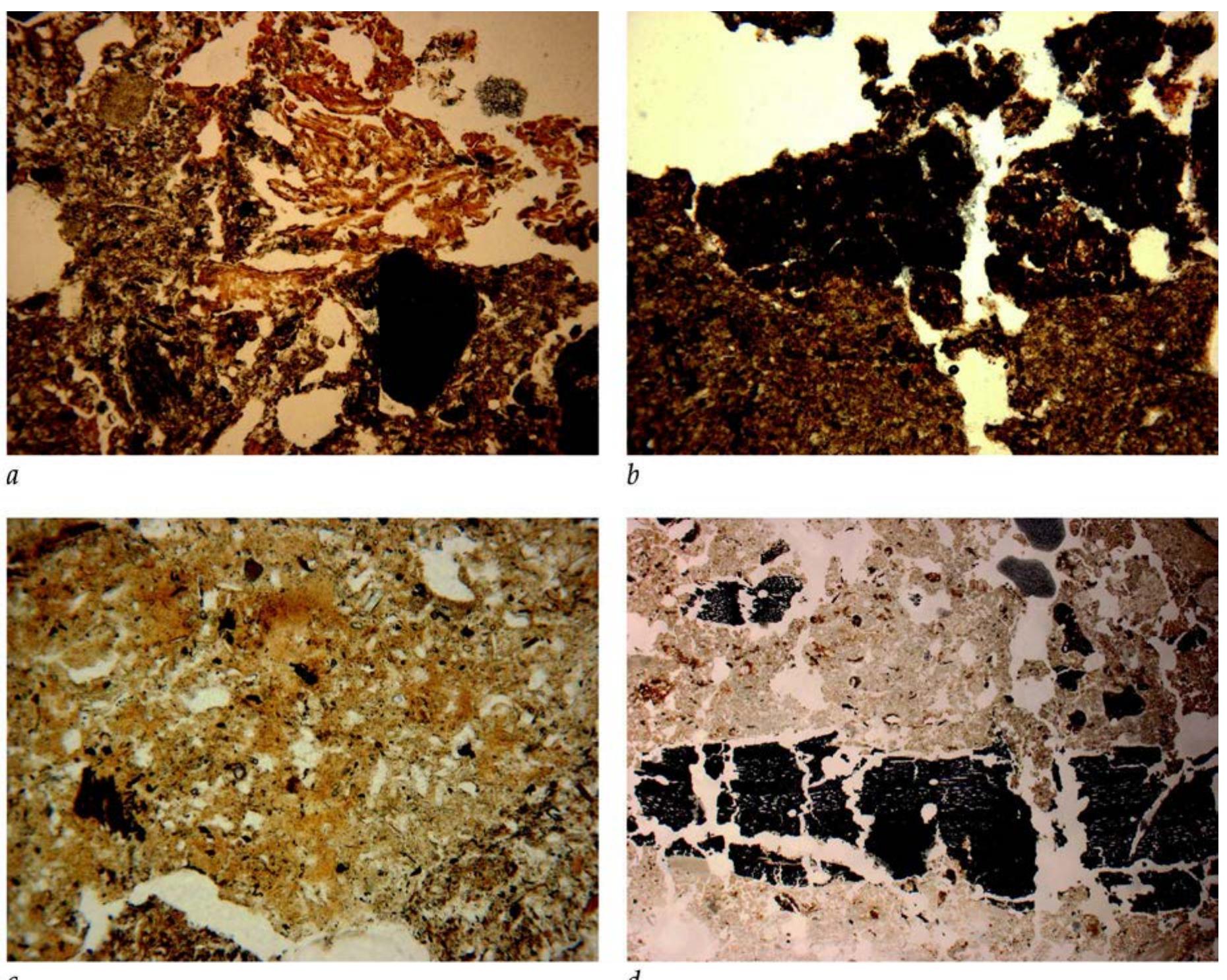 Fig. 16. Test Pit 5 (2012) soil photomicrographs (C. French/D. Redhouse): a. Photomicrograph of micritic ash with abundant fine fragments of uncarbonised and partly humified and silicified plant remains, many phytoliths and recognisable fragments of grass stems and leaves, as well as anthropogenic inclusions of pottery fragments, unfired clay aggregates and degraded bone, sample 10/3 (frame width = 4.5mm; plane polarized light); b. Photomicrograph of the upper surface contact of the compacted micritic ash and silty clay with the humic silty clay above, sample 10/4 (frame width = 4.5mm; plane polarized light); c. Photomicrograph of the considerable quantities of included degraded bone (i.e. amorphous yellow areas) in the upper surface contact, sample 10/4 (frame width = 2.25mm; plane polarized light); d. Photomicrograph of the micritic ash fabric with horizontal organisation of wood charcoal fragments, sample 10/4 (frame width = 2cm; plane polarized light) 