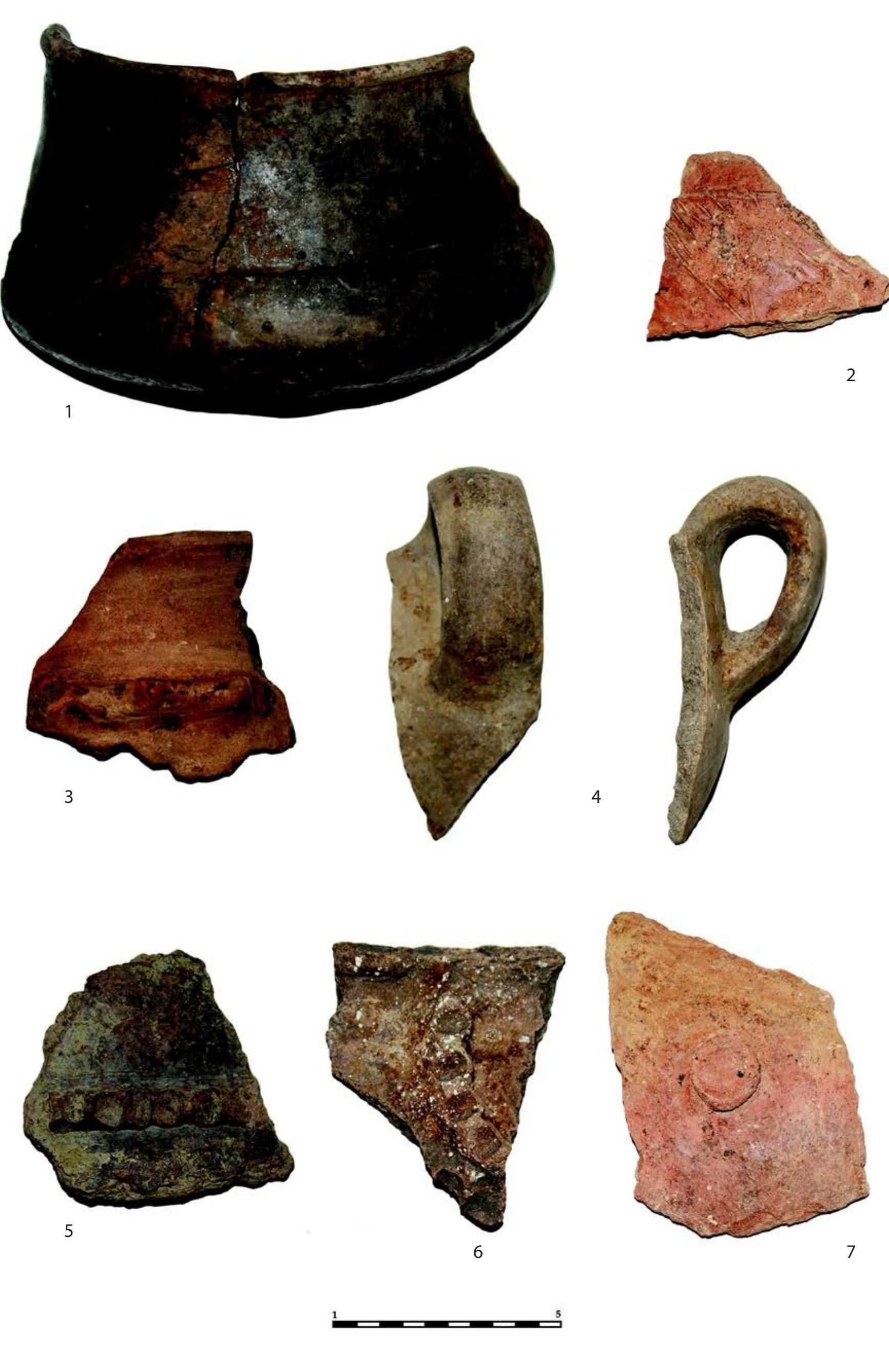 Fig. 19. Selected diagnostic pottery sherds, Tab. II (A. JaSarevic) 