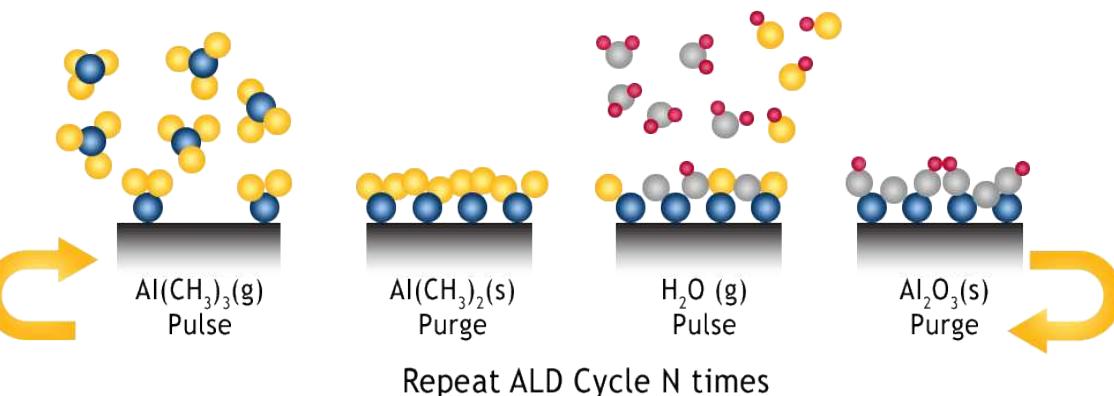 Principle stages of the ald process. reproduced with