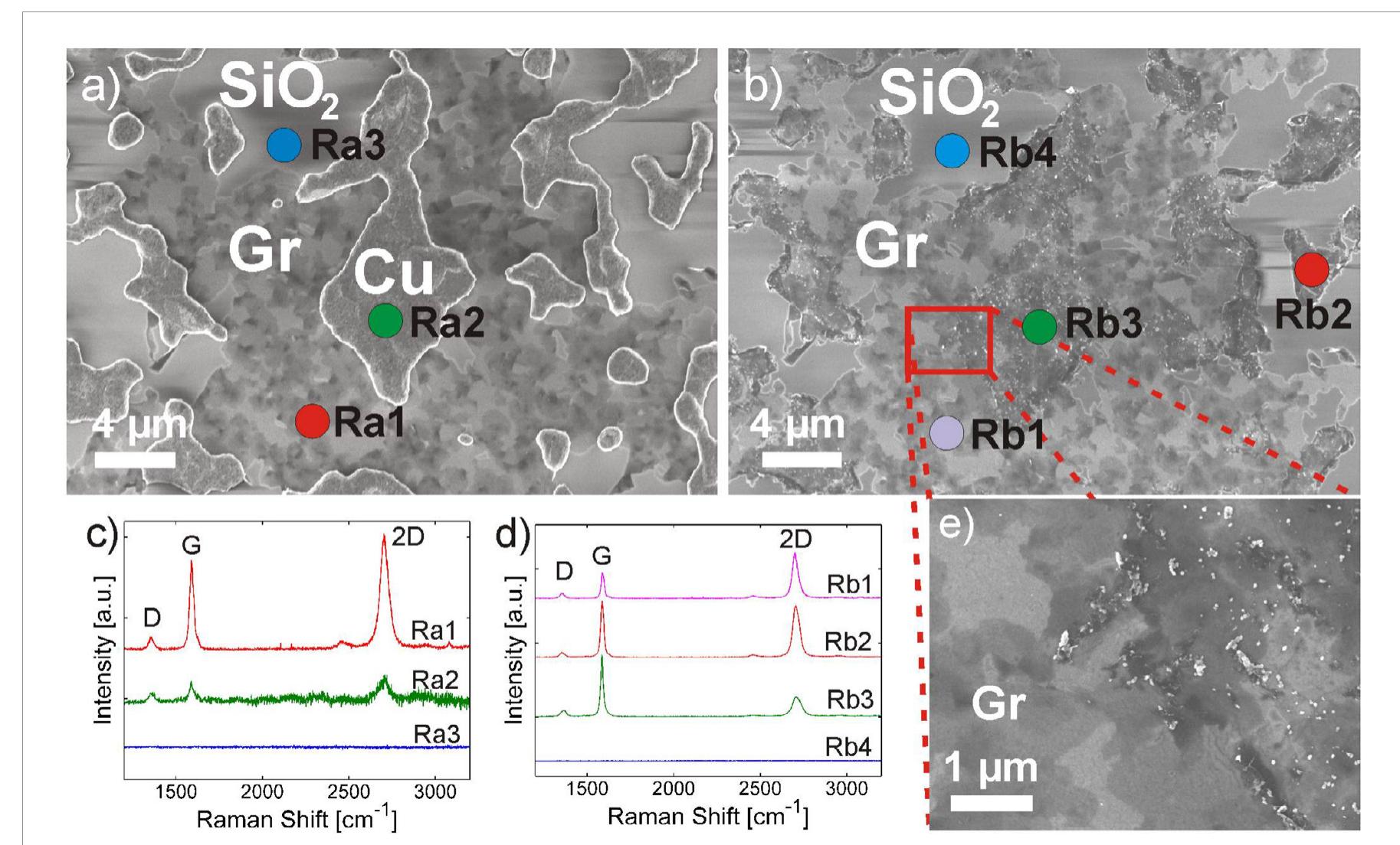 Sample Elsevi V.39. sem images of sample with (a) and without (b) and (c)