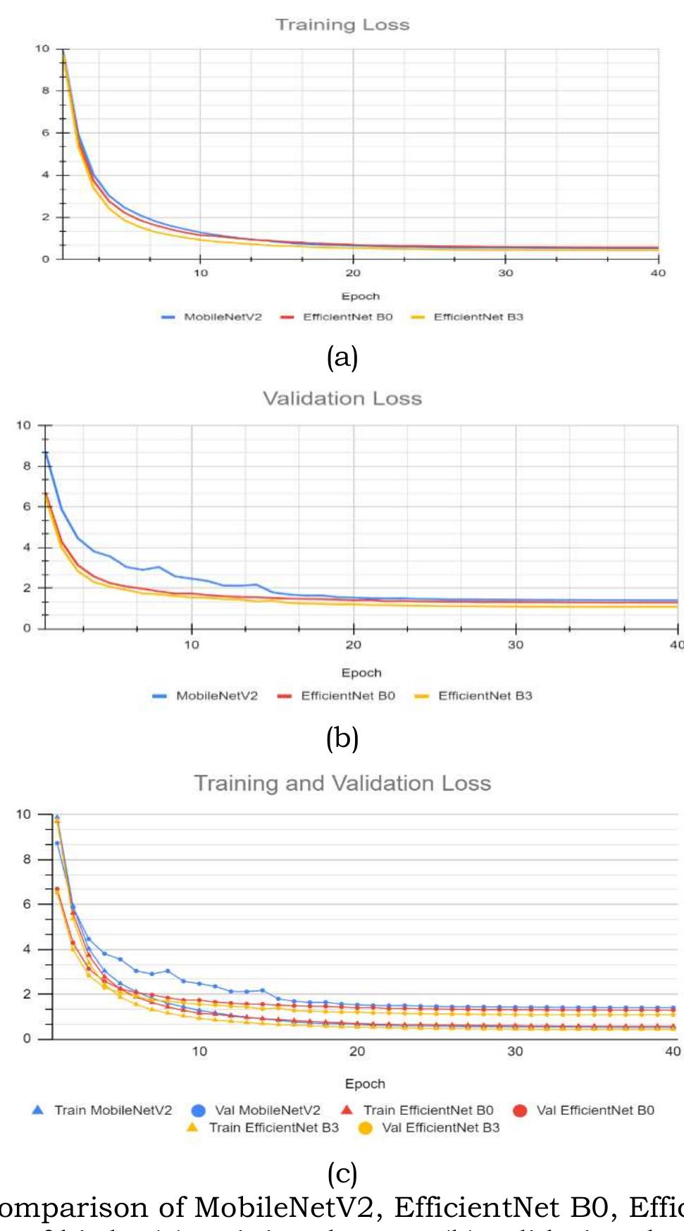 Figure 7 - from A convolutional neural network bird's