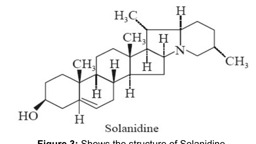 (PDF) A systematic review on Solanum xanthocarpum L. (Solanaceae) plant ...