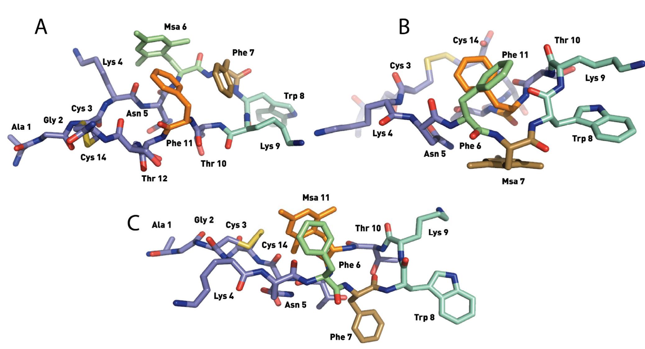 The 3d structure of [l-msa6]-srif (1) showed a singular
