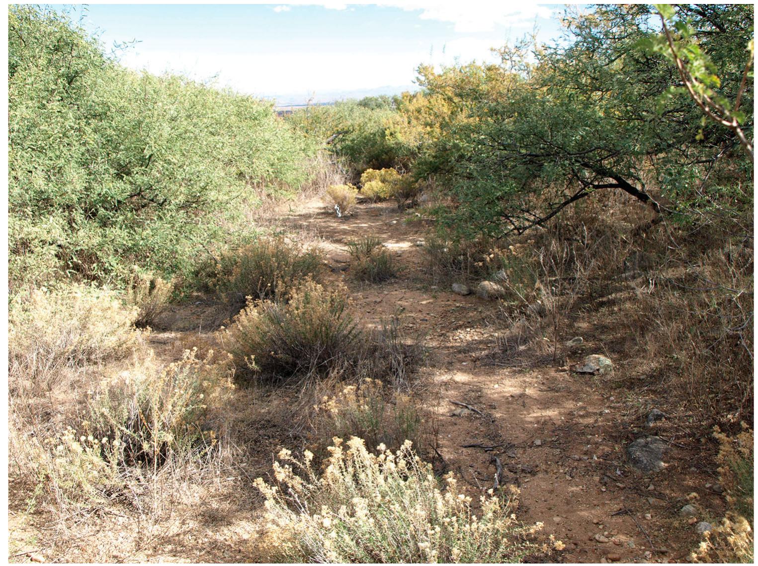 (PDF) The Bajada Canals of the Safford Basin, Southeastern Arizona ...