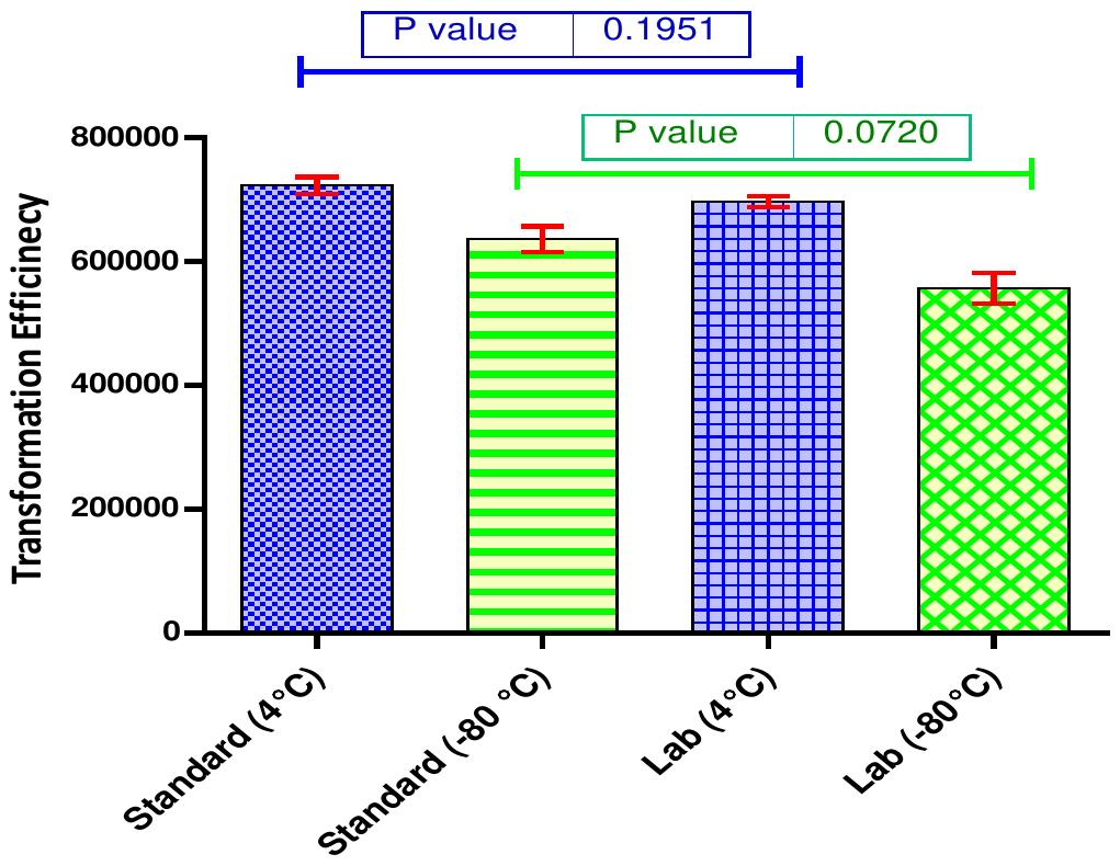 (PDF) Impact of heat shock step on bacterial transformation efficiency
