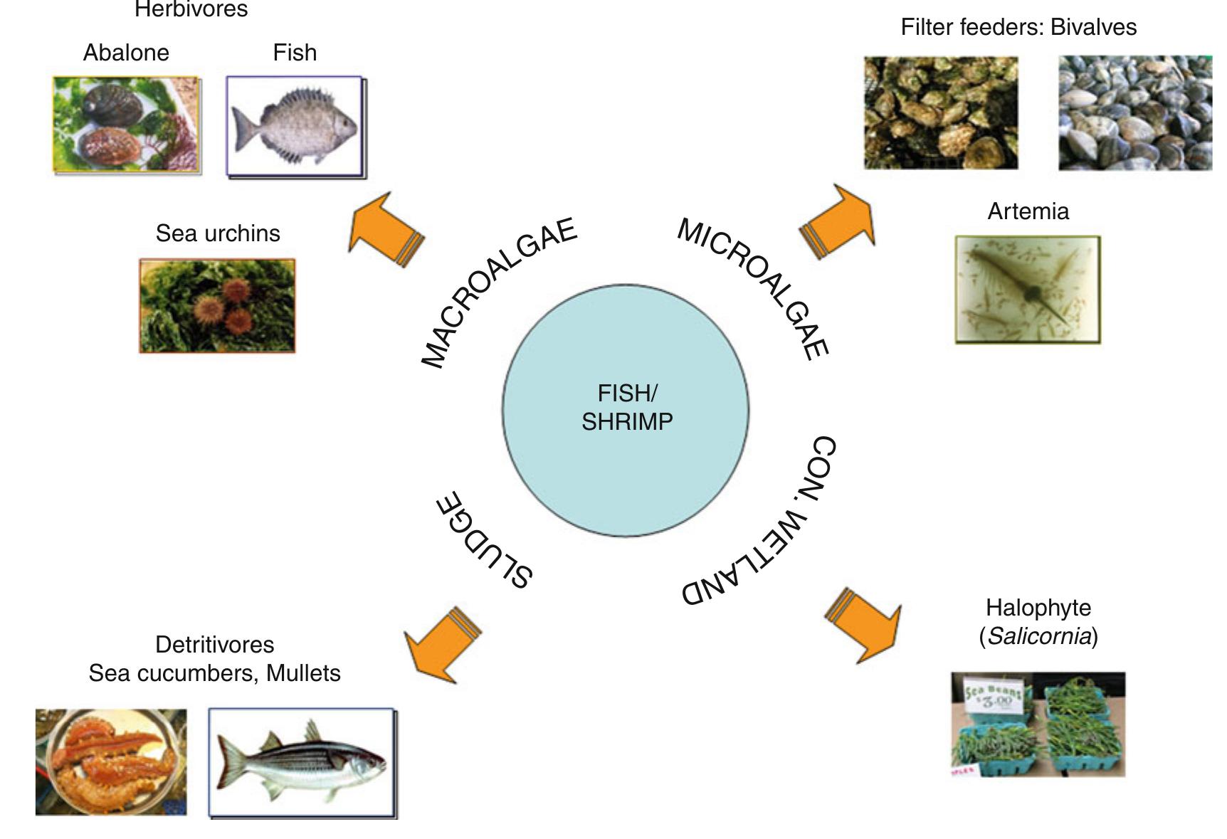 Wanamina Figure 1 - from Marine Aquaculture Aquaculture in the