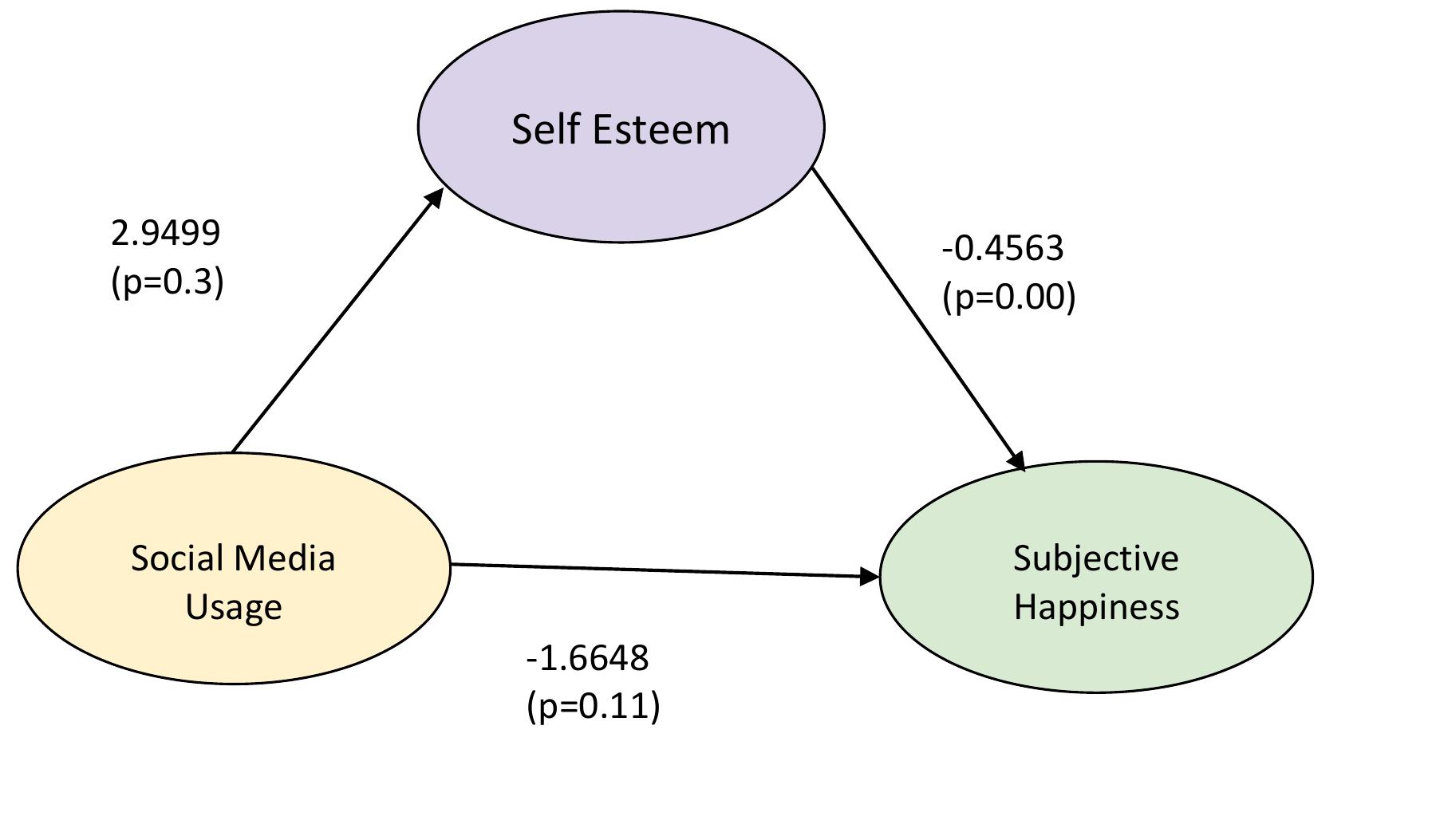 (PDF) Relationship Between Subjective Happiness and Social Media Usage ...