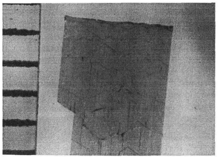 (PDF) Growth of Bulk AlN and GaN Single Crystals by Sublimation