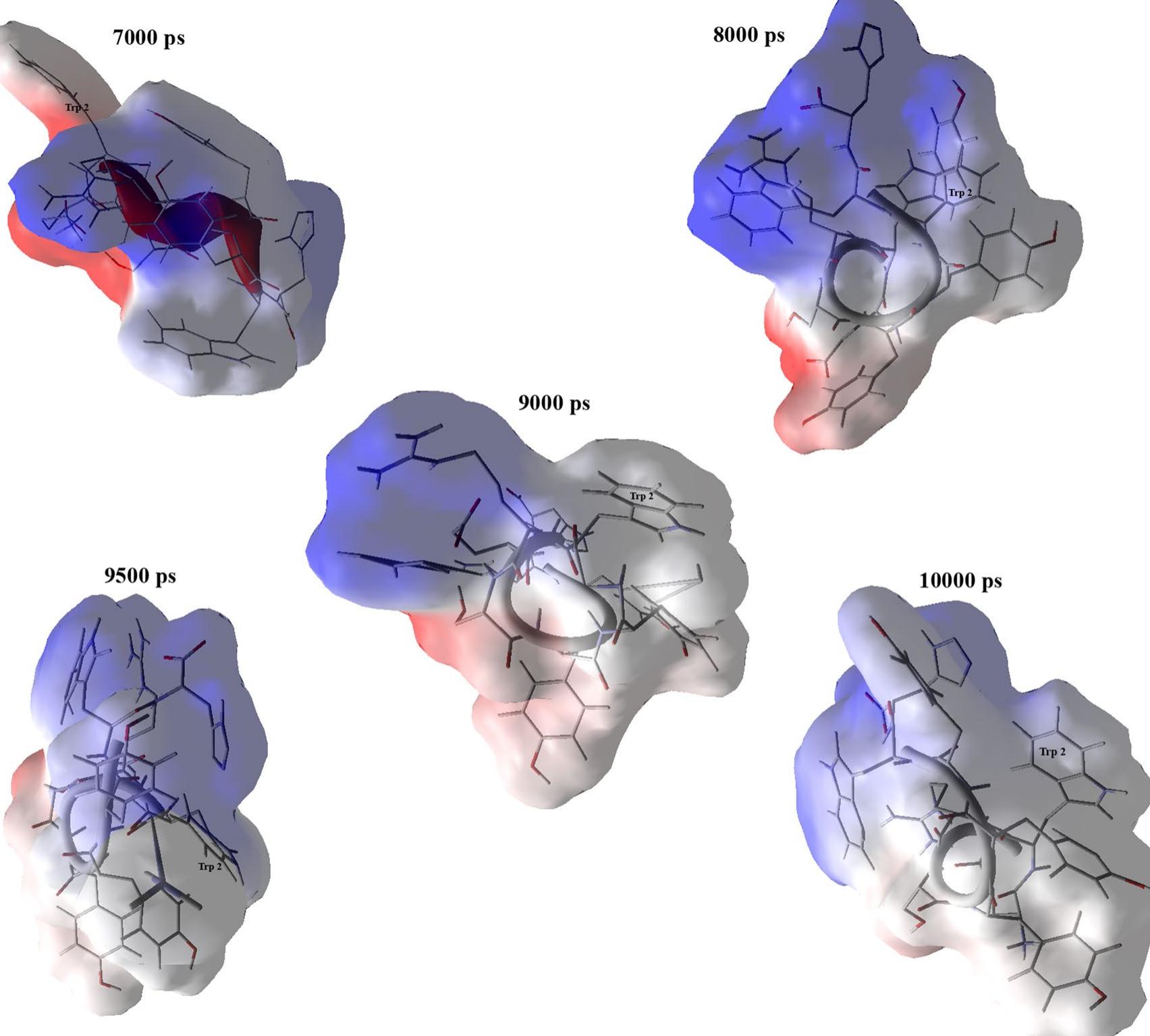 Peptide Visualization (PDF) An in silico approach to design peptide mimetics based on docking ...