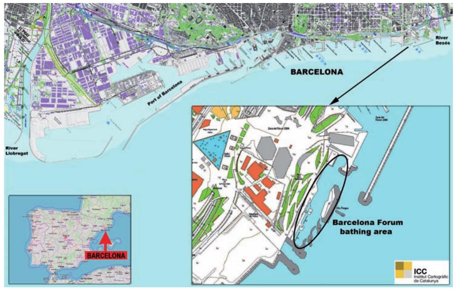 Figure 1. Map of the Barcelona Forum bathing area.  The Barcelona Forum bathing area (41°24735.8”N, 2°13’37.6”E) is a semi-enclosed, artificial, marine area located to the north of Barcelona. It is limited at the northern end by the Port Forum marina and to the south by the breakwater of the drainage channel of the Besos wastewater treat- ment plant (Fig. 1). The area, measuring approximately 375 x 30 m, is sheltered from the open sea by a breakwater of concrete blocks. It is connected to the sea at the northern end by a mouth that allows the entry of small recreational boats, and by several narrow openings in the breakwater at the southern end that allow some water circulation. The area is divided longitudinally into an inner and outer zone by a row of concrete pylons and concrete walls. The inner zone is less than 2 m in depth and its bed is a concrete platform covered with coarse sand, construction rubble and small, scattered, loose stones. The outer zone descends to about 5-6 m with a bed of large, stone blocks resting on silt. 
