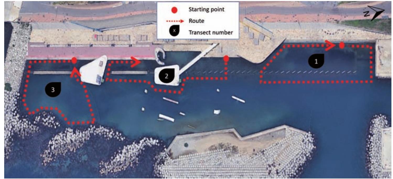 Figure 2. Regular qualitative sampling transects in the area of study 