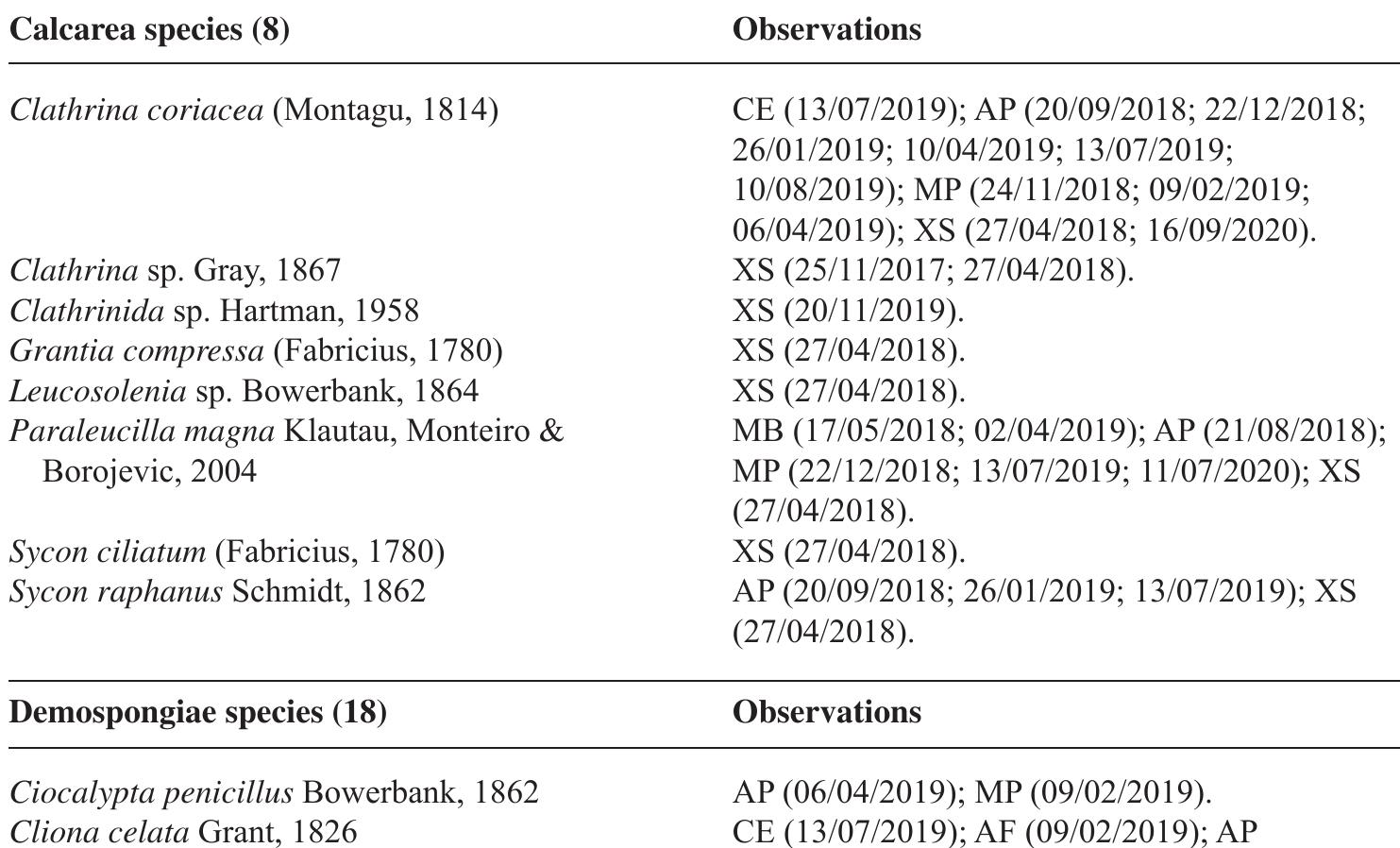 Table 3. Porifera species and observations (dd/mm/yyyy). 