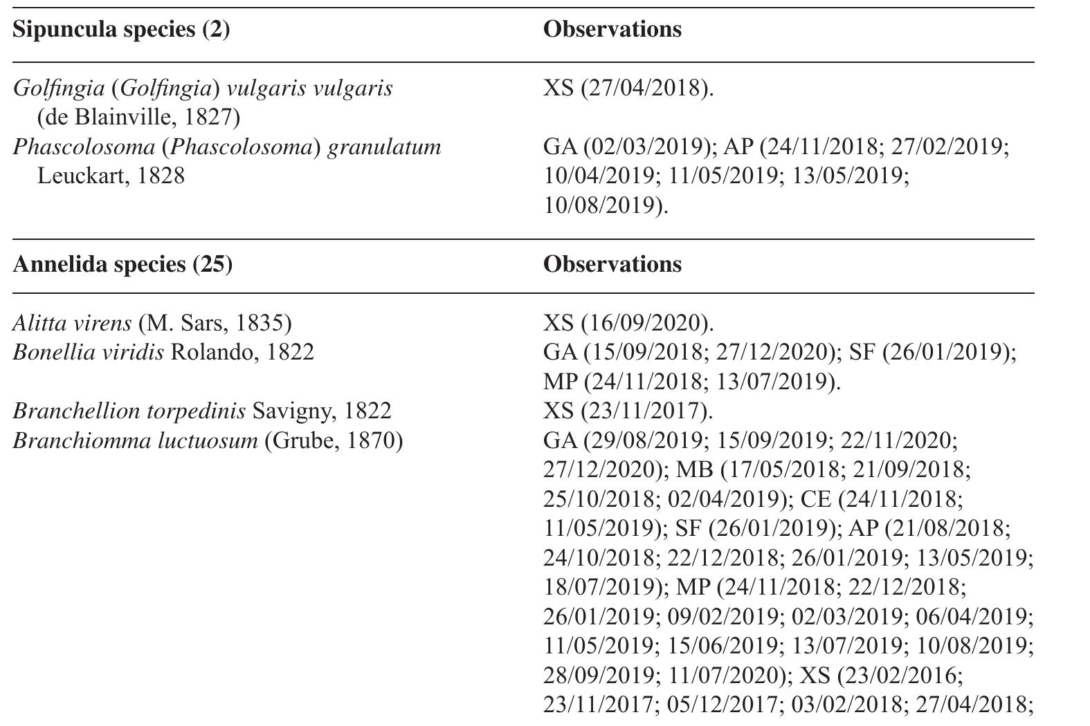 Table 6. Sipunculida and Annelida species and observations (dd/mm/yyyy). 