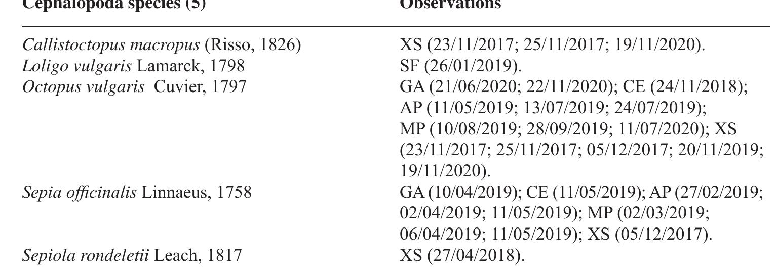 Williamia gussoni (Costa O. G., 1829)  Turbonilla pusilla (Philippi, 1844) Vermetus triquetrus Bivona-Bernardi, 1832 