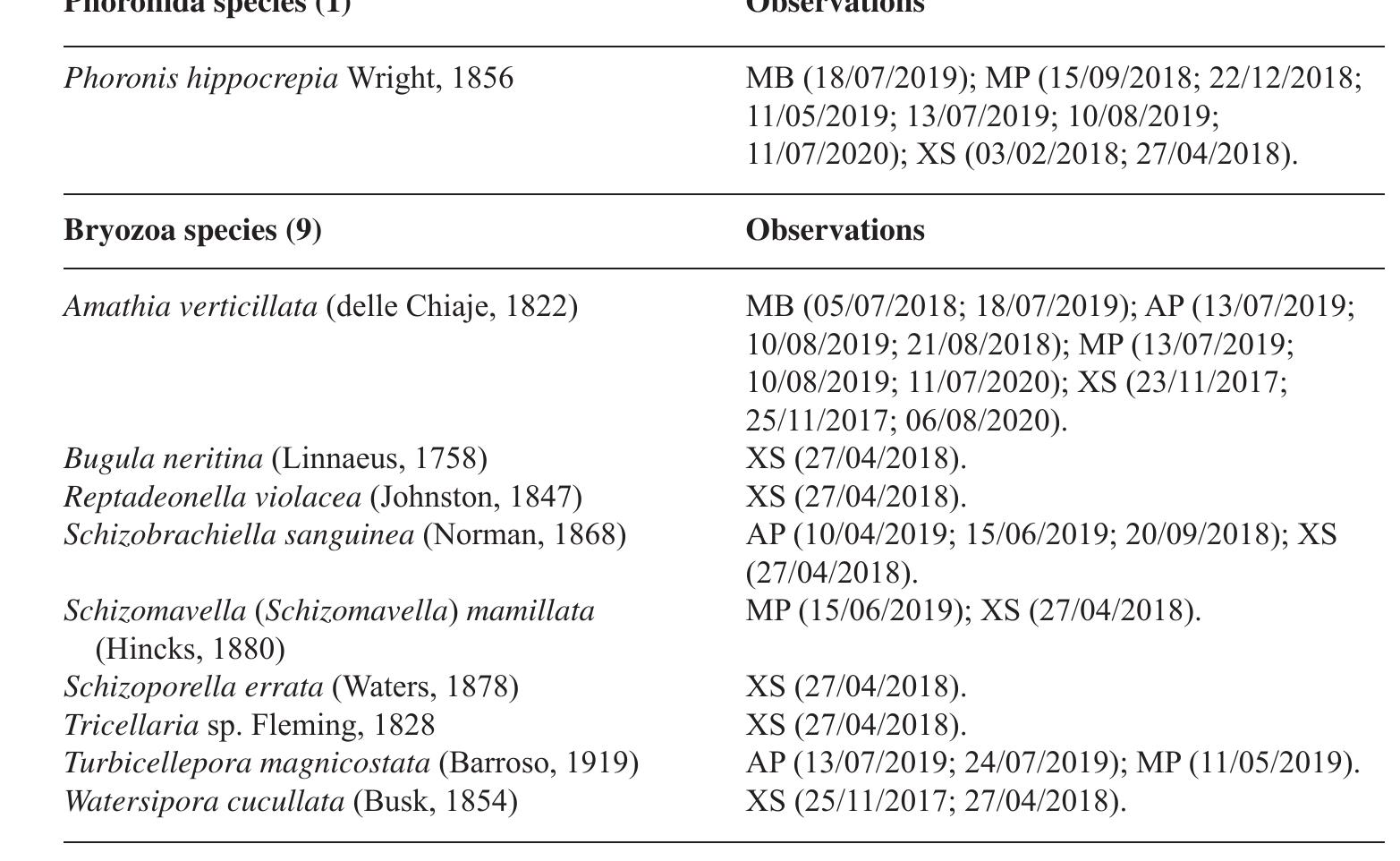 Table 8. Phoronida and Bryozoa species and observations (dd/mm/yyyy).  A total of 65 species were observed in our samplings. Of these, 40 species were Decapoda, 9 Amphipoda, 6 Isopoda, 5 Cirripedia, 1 Tanaidacea, 1 Mysida, 1 Copepoda and 2 Pycnogonida (Table 9). Within Decapoda, crabs (Brachiura) are very well represented, with 18 species, most of them frequent on rocky or sandy shores of the Western Mediterranean. It is worth mentioning Atelecyclus undecimdentatus, more abundant in the Atlantic than in the Mediterranean, as well as Nepinnotheres pinnotheres and Pinnotheres pisum, two species that live as commensals inside the pallial cavities of bivalves, and Herbstia condyliata, a rare species that lives under rocks. Of the Pleocyemata, Upogebia pusilla was only found once alive in this study, but given the amount of discarded exoskeletons found (after moulting) it is very common in the study area, as suggested by Fusté (1987). It is also worth noting the observation of a 20-cm-long specimen of Penaeus kerathu-  Nine bryozoan species were observed in the Forum bathing area (Table 8), six of them with encrusting growth and three species with bushy growth. Especially remarkable was the spaghetti bryozoan Amathia verticillata, which exhibits rapid growth in summer months, covering large, shallow, exposed areas of the walls, rocks and pylons, impoverishing the local biodiversity. 