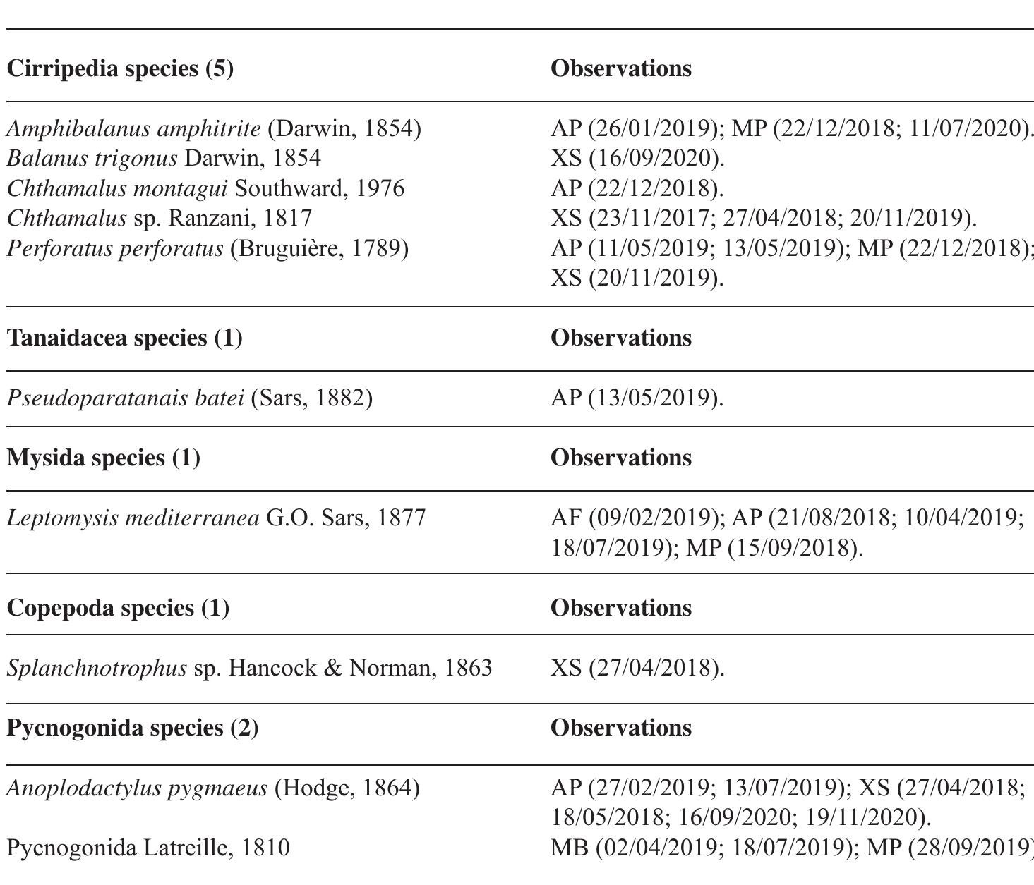 Echinodermata (Fig. 14c-e) 