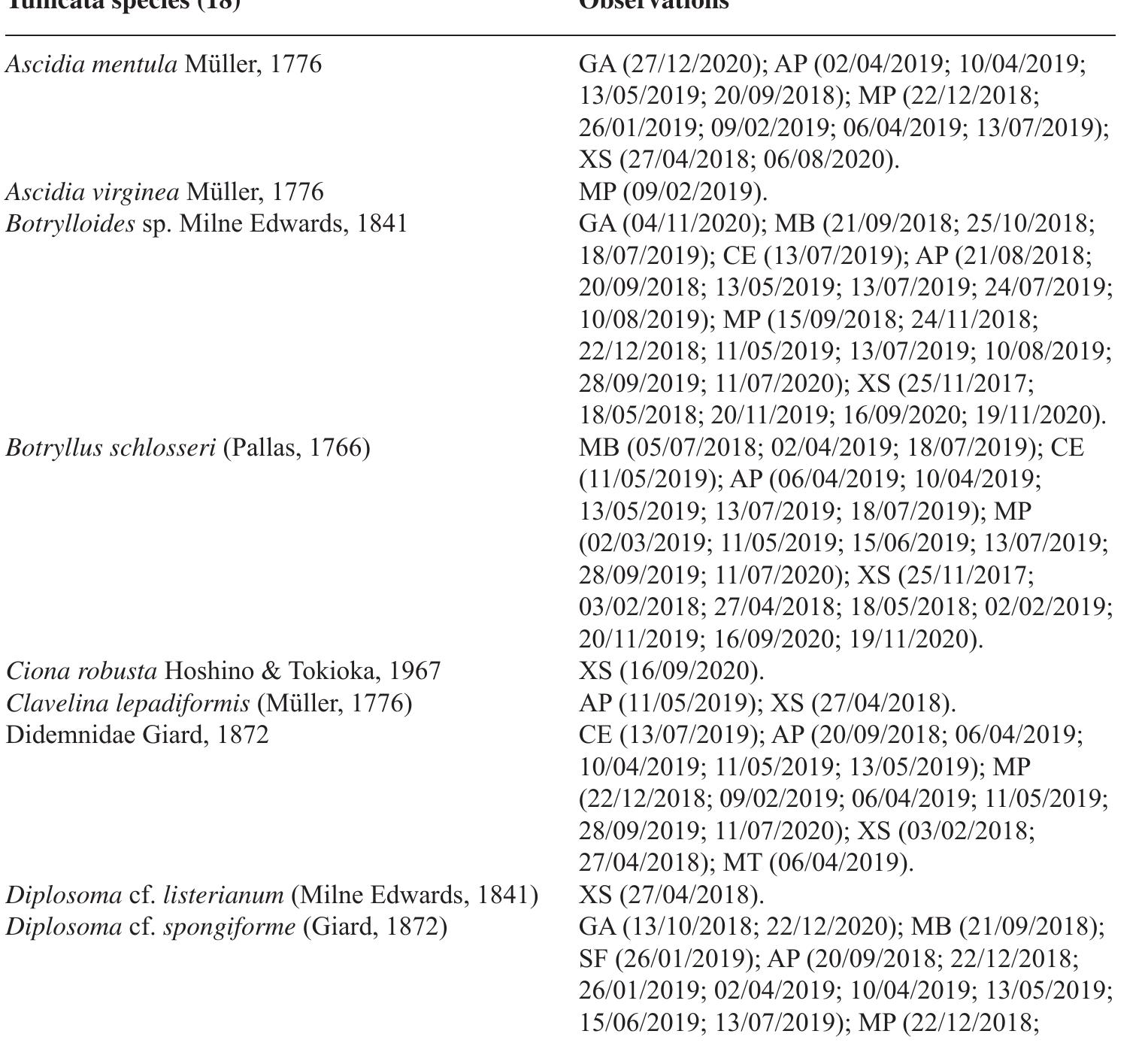 Table 11. Tunicata species and observations (dd/mm/yyyy).  Lissoclinum cf. weigelei Lafargue, 1968 Lissoclinum cf. perforatum (Giard, 1872) 