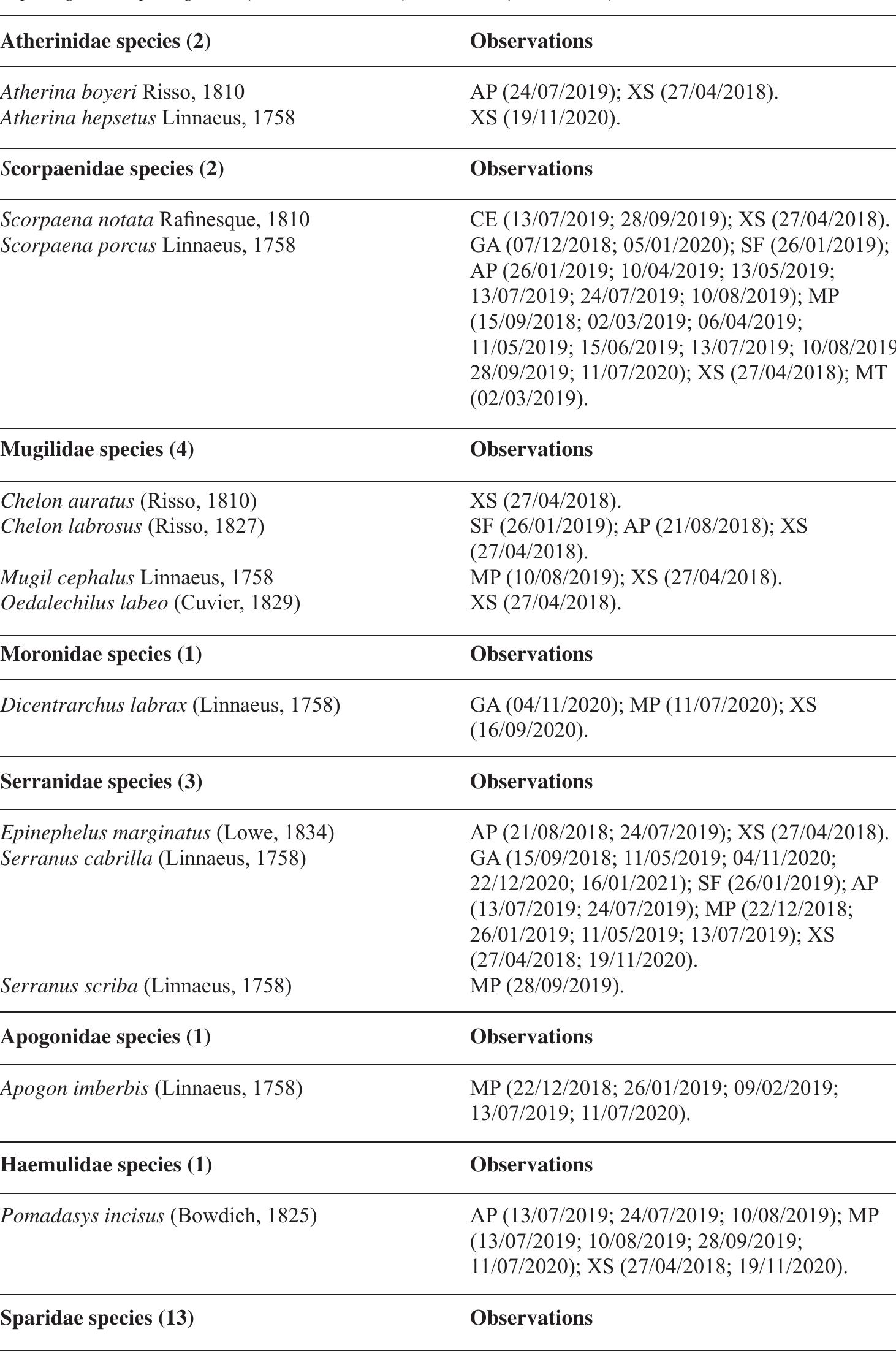 Lepadogaster lepadogaster (Bonnaterre, 1788) 
