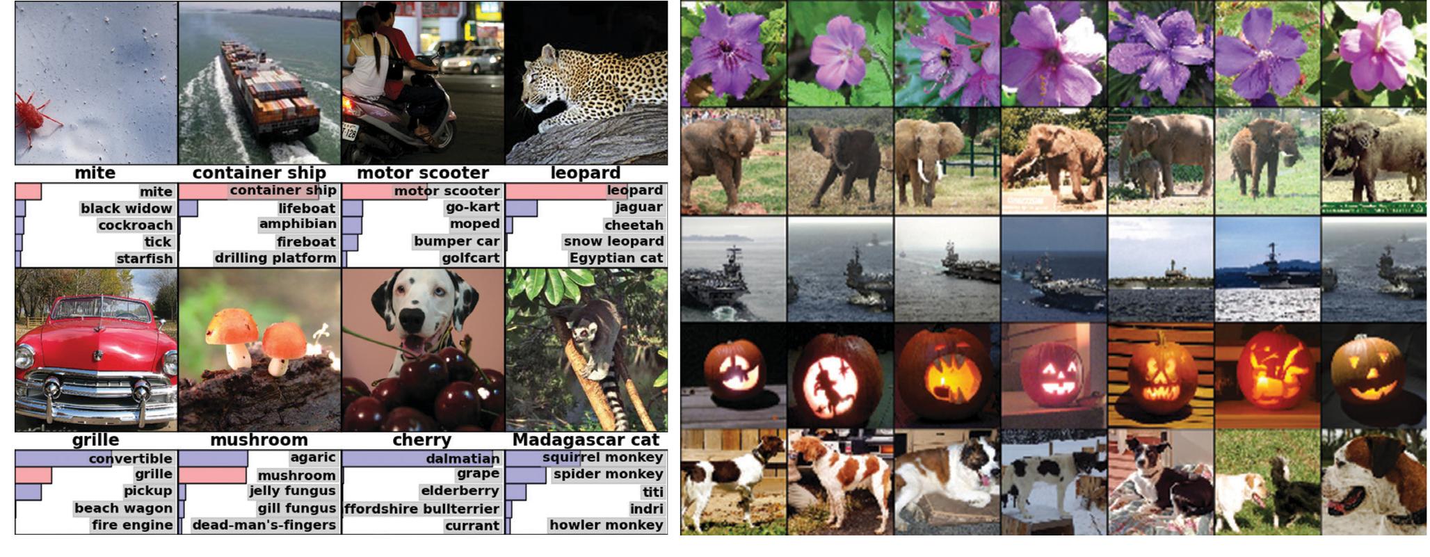 Figure 4. (Left) Eight ILSVRC-2010 test images and the five labels considered most probable by our model. The correct label is written under each image, and the probability assigned to the correct label is also shown with a red bar (if it happens to be in the top 5). (Right) Five ILSVRC-2010 test images in the first column. The remaining columns show the six training images that produce feature vectors in the last hidden layer with the smallest Euclidean distance from the feature vector for the test image. 