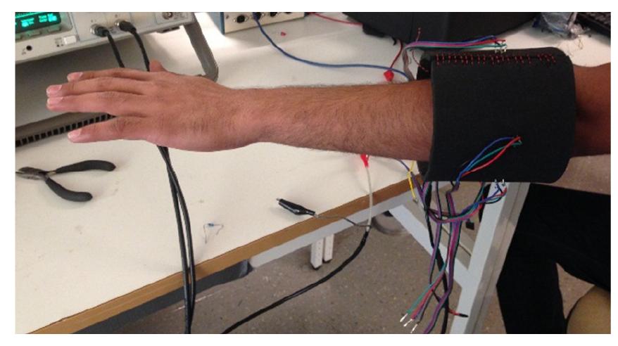 (PDF) Optomyography (OMG) : A Novel Technique for the Detection of ...