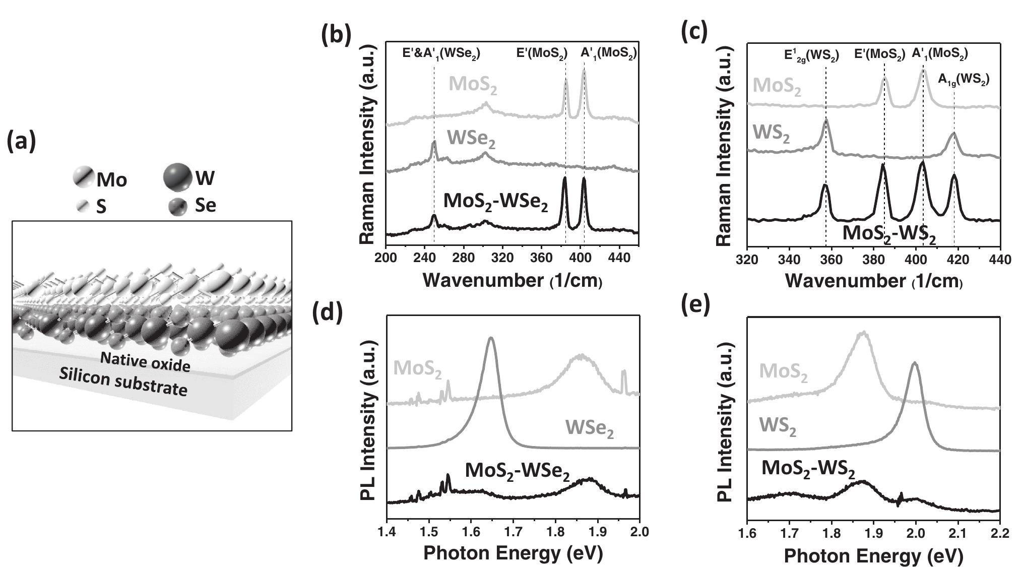 Tmd Raman Rotation (PDF) Band Alignment of 2D Transition Metal Dichalcogenide Heterojunctions
