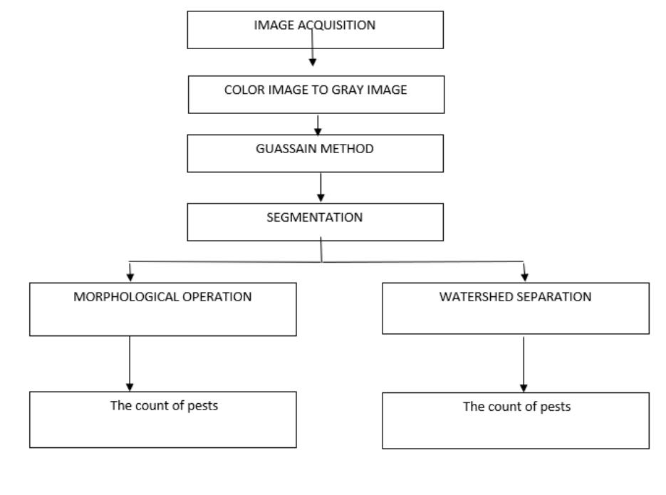 (PDF) Pest Detection using Image Processing