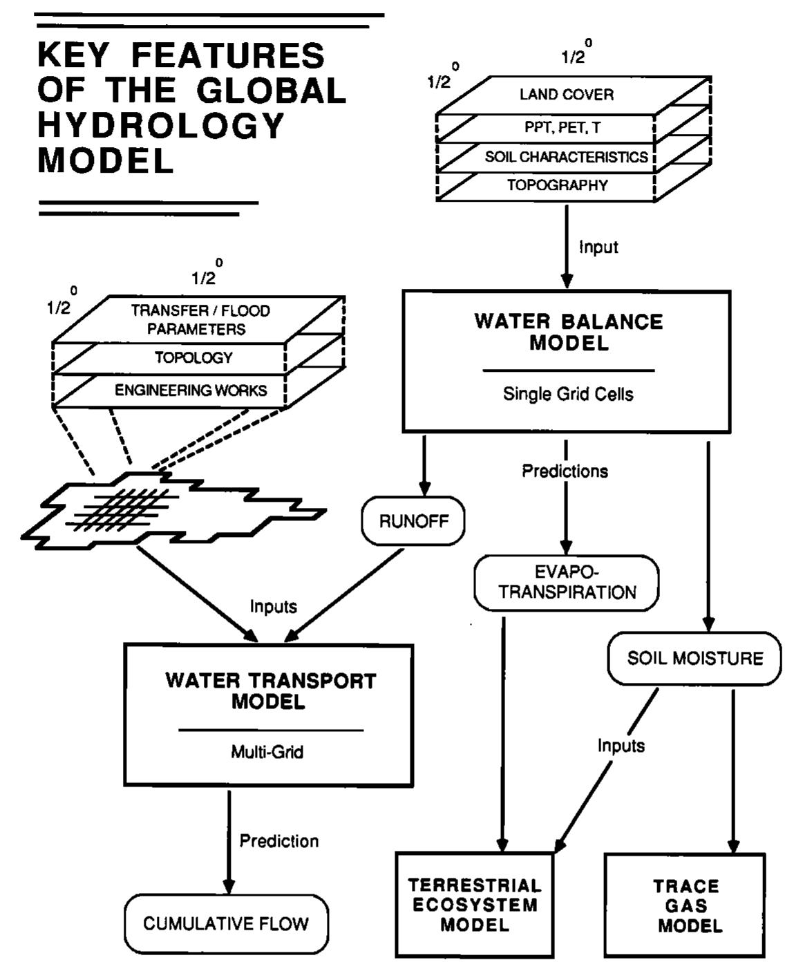 Structure of the global hydrologic model, showing the