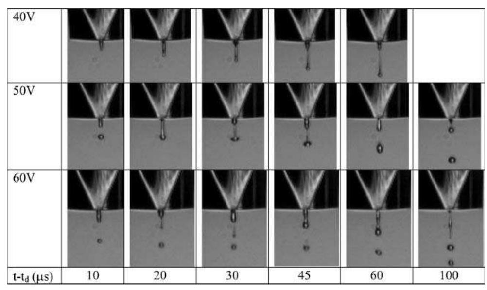Fig. 1 Photo sequence of formation of a Newtonian droplet  consisting of water-glycerolisopropanol with an applied voltage of 40, 50 and 60 V.  To ascertain the effect of molecular weight all three polymers were ink-jetted at a reduced concentration of 1, with fluid viscosities lying in the range 3.6-4.7 cP. We define the reduced 