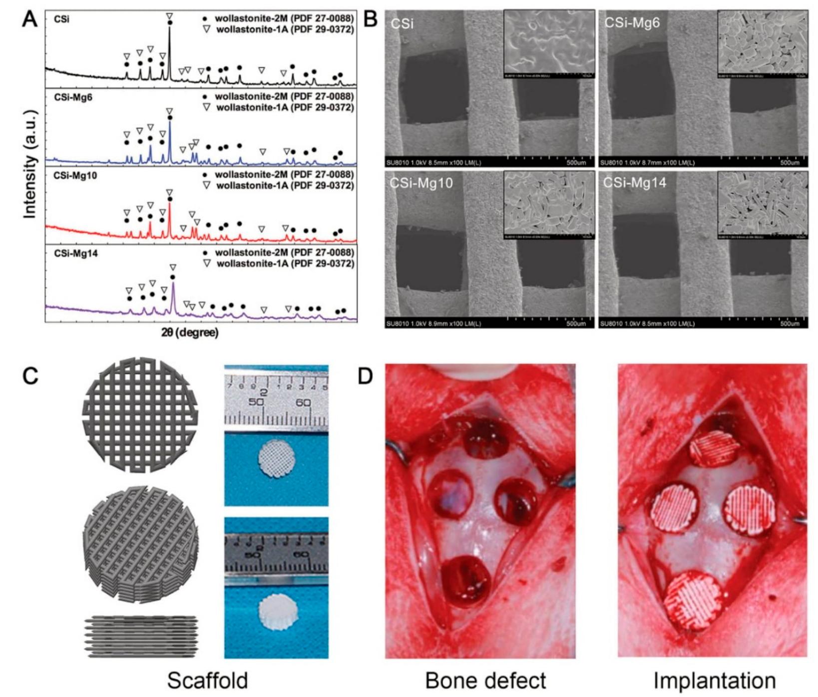(PDF) Bone Tissue Engineering through 3D Bioprinting of Bioceramic ...