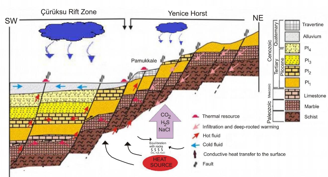 The formation of travertine deposits depends upon the solubility of CaCO,, controlled principally by CO, partial pres- sure, temperature and pH values, in which reaction equilibriums play an important role. Recent travertine deposits form the modern carbonate precipitations consist- ing of aragonite. In the study area, the travertine can be considered as terrace, ridge and channel type travertine (Altunel, 1996). Additionally, the geothermal waters of Pamukkale have high sulphate contents of up to 650 mg/l (Ozgiir et al., 2004) and Rn concentrations of up to 20 Bq/I (Kulah, 2016). These features are connected with the decay of uranium minerals in the meta- morphic rocks of the Menderes Massif as in which the high sulphate contents ara associ- ated with sulphide contents such as pyrite as well as gypsum minerals in reservoir and cap rocks.  Figure 9. Hydrogeological modeling of the geothermal waters of Pamukkale and environs (PI4: Tosunlar formation; PI3: Kolonkaya formation; PI2: Sazak formation; PI1: Kizilburun formation) (modified from Dilsiz et al., 2004). 