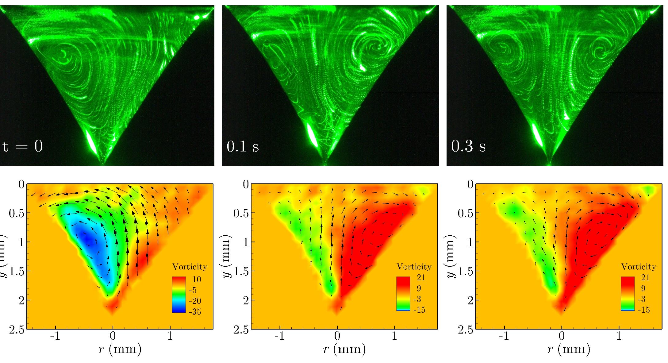 (PDF) Experimental Investigation of Flow Field Inside a Taylor Cone