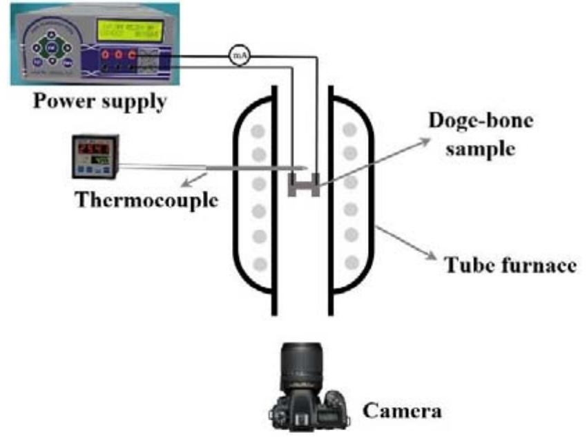 Schematic of used flash sintering set-up
