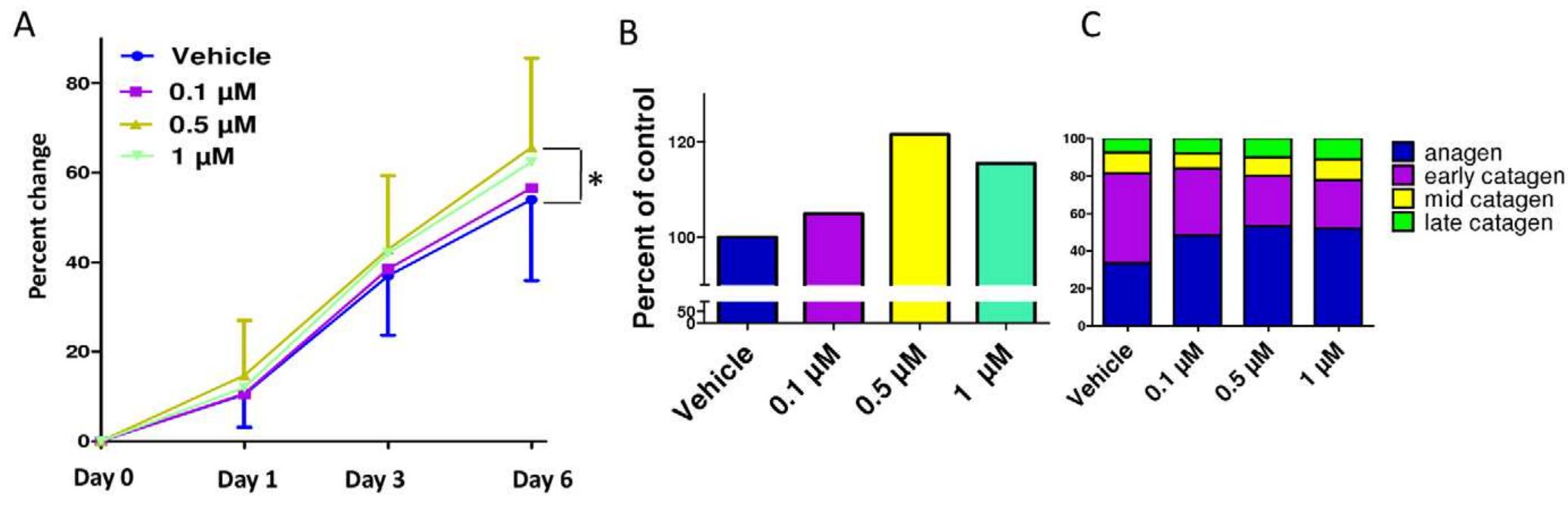 Figure 1. Spermidine treatment increases hair shaft elongation and prolongs anagen. A. Spermidine treatment for 6d increased hair shaft elongation of microdissected organ cultured HFs, maximal and significant in the 0.5 uM dose. In this clinically highly relevant in vitro-assay, amputated HFs in the growth phase of the hair cycle (anagen) continue for several days to produce a pigmented hair shaft at almost the normal speed of normal anagen HFs in vivo, and display cyclic growth activity in vitro by spontaneously entering into the regression phase of the hair cycle (catagen). B. Total increase in hair shaft elongation relative to control after 6d in culture (cumulative results of two different experiments). C. Spermidine treatment prolonged anagen in all three doses after 6d in culture. *P<0.05. Columns represent means+SEM; n=30-36 HFs/group; cumulative results of two different experiments.  doi:10.1371/iournal.oone.0022564.q001 